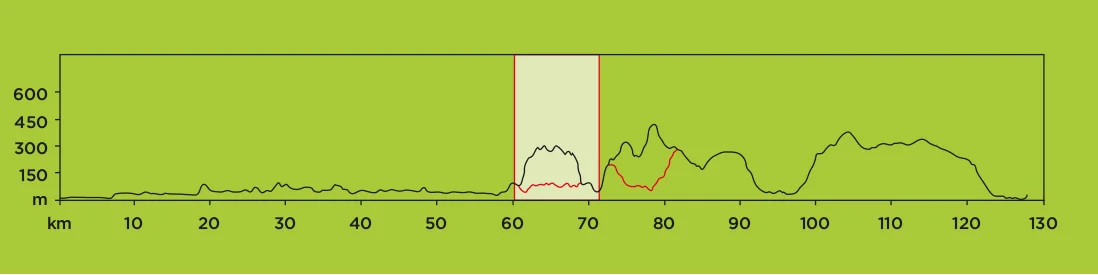 STAGE 4.jpg