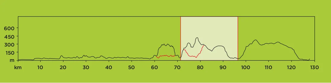 STAGE 5.jpg
