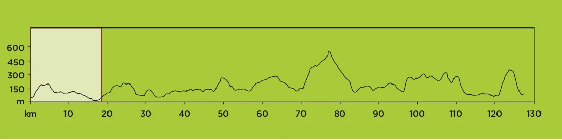 STAGE 1.jpg