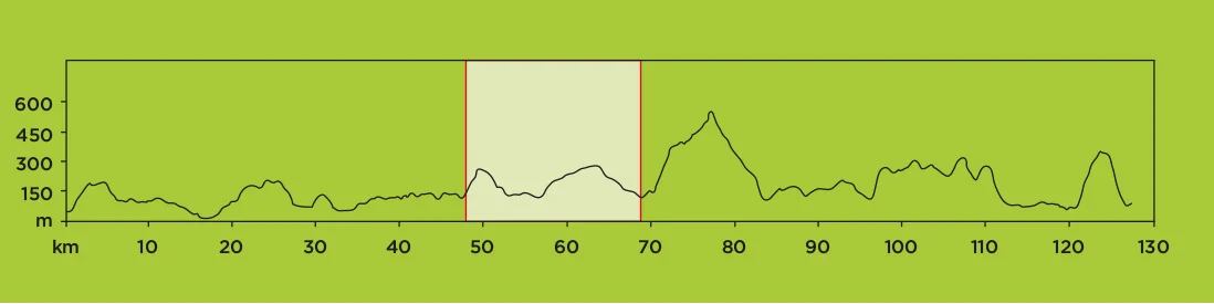 STAGE 4.jpg