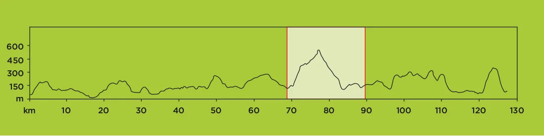 STAGE 5.jpg