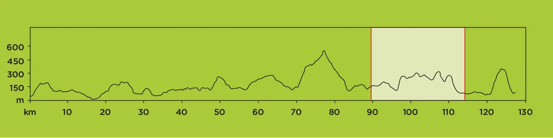 STAGE 6.jpg