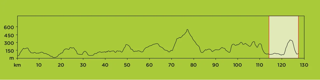 STAGE 7.jpg