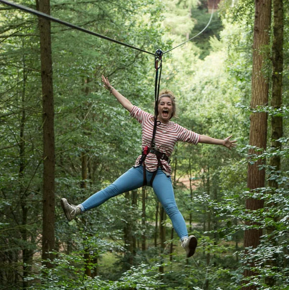 Go Ape 572x574.jpg