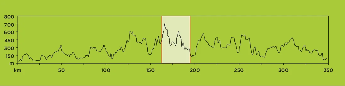 STAGE 6.jpg