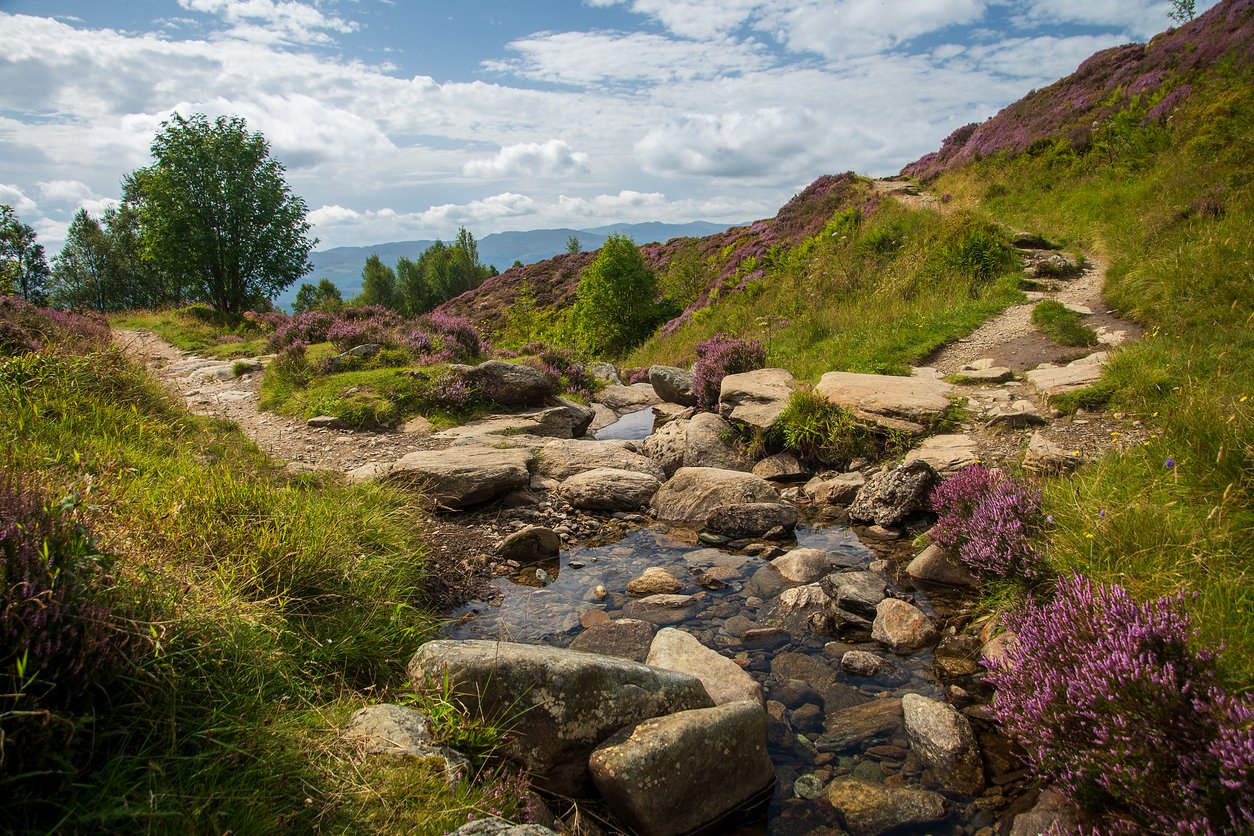 Which Scottish Walk Is Right for You?