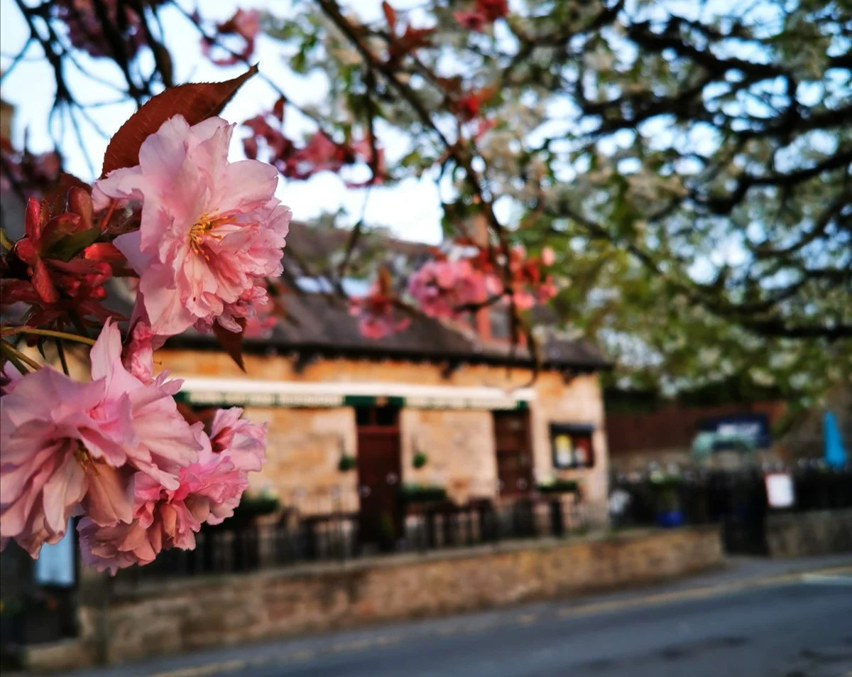 A Taste of Spring at Fern Cottage