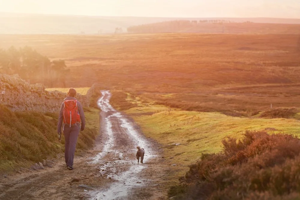 Beginner-Friendly Multi-Day Walks in Scotland