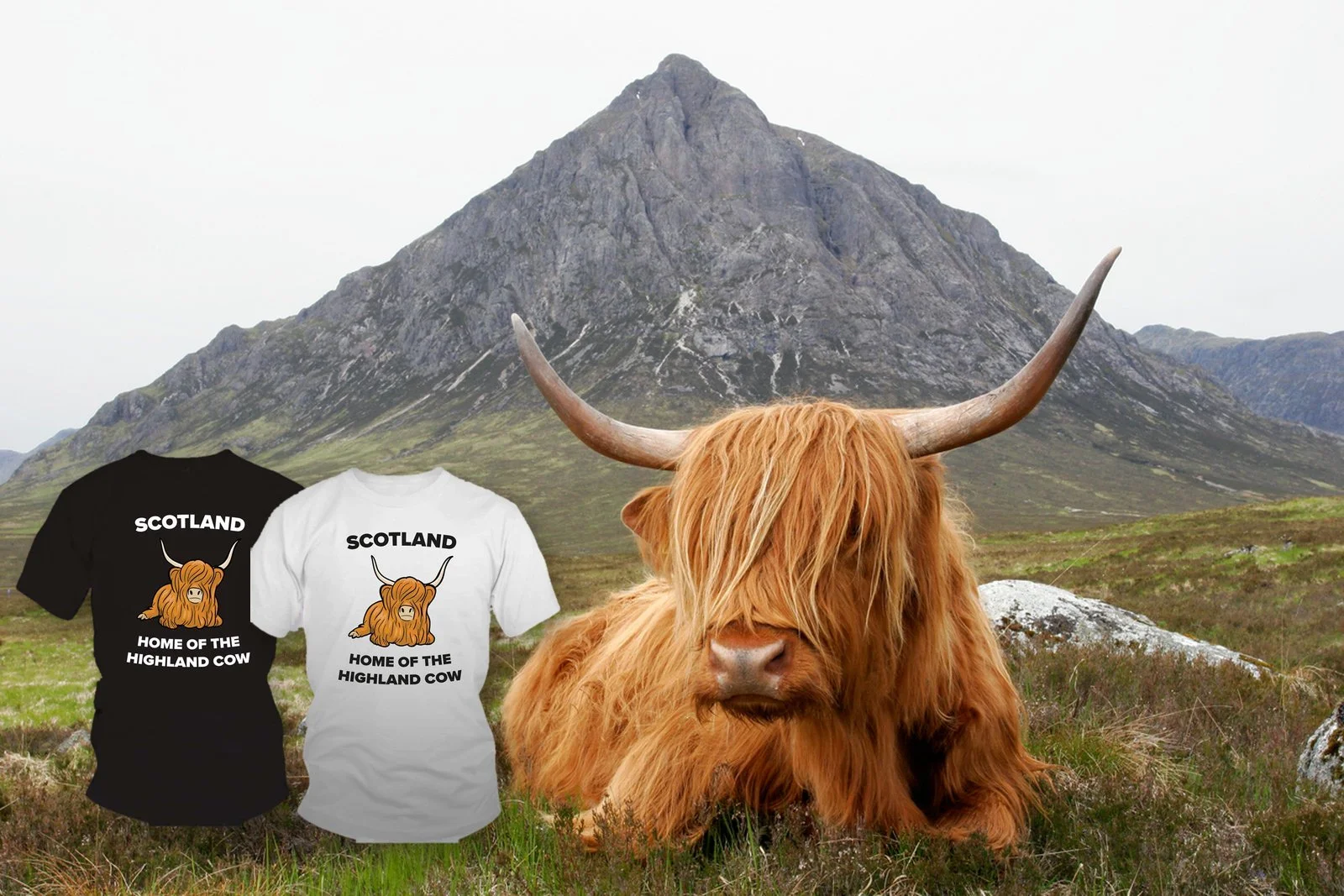 Highland Cow T-Shirt