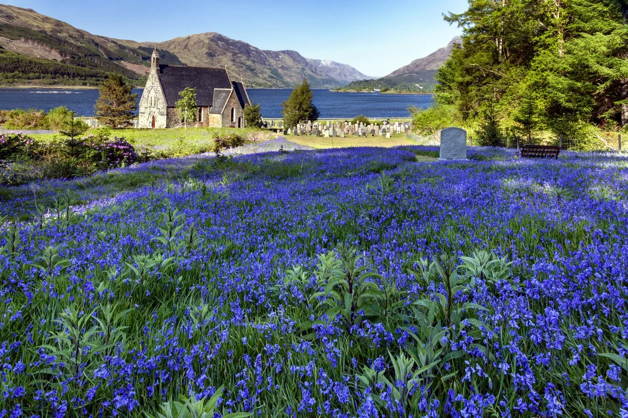 Scotland Background Spring Scotland Walking Holidays: Best Walks by Season | The Walkers Club Scotland