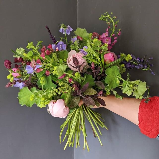 Jewel hand tied bouquet ordered for a 40th last weekend. Big and fresh and Norfolk grown - would've loved to have seen it with peonies open! Last week of those pale pink peony princes coming up - the perfect partner for the green alchemilla mollis gr