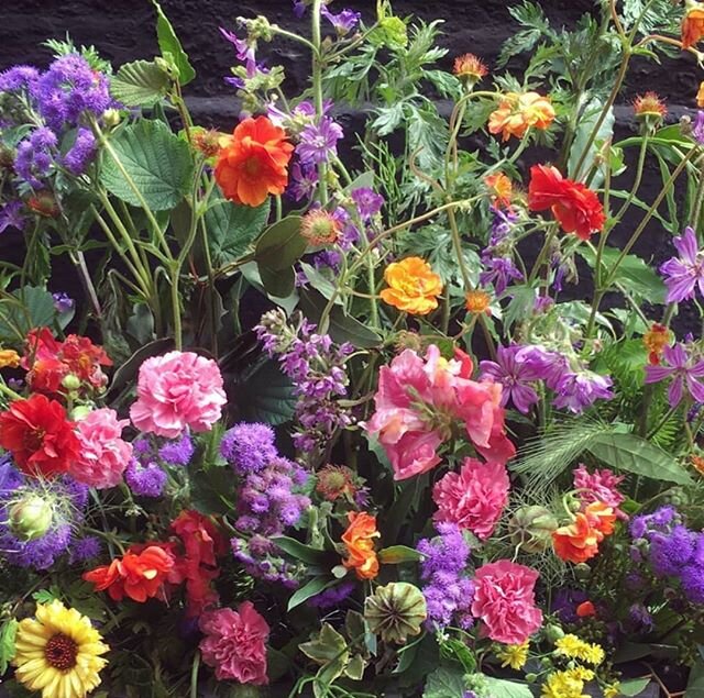 A meadow trough of June blooms 2019. #partyflowers #meadow #wildflowers #colourclash #norwichflorist #norfolkflorist #suffolkflorist