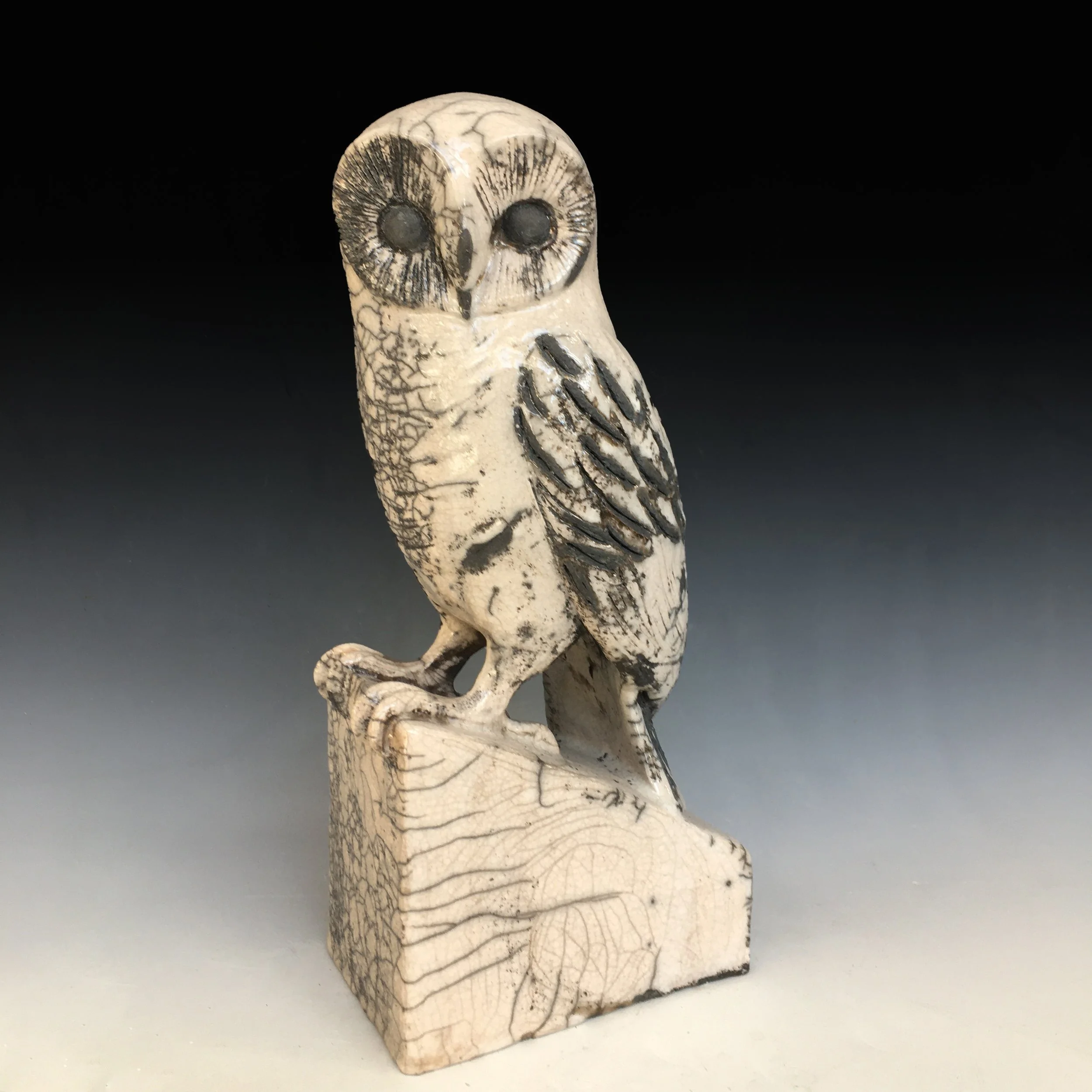 owl1.jpg
