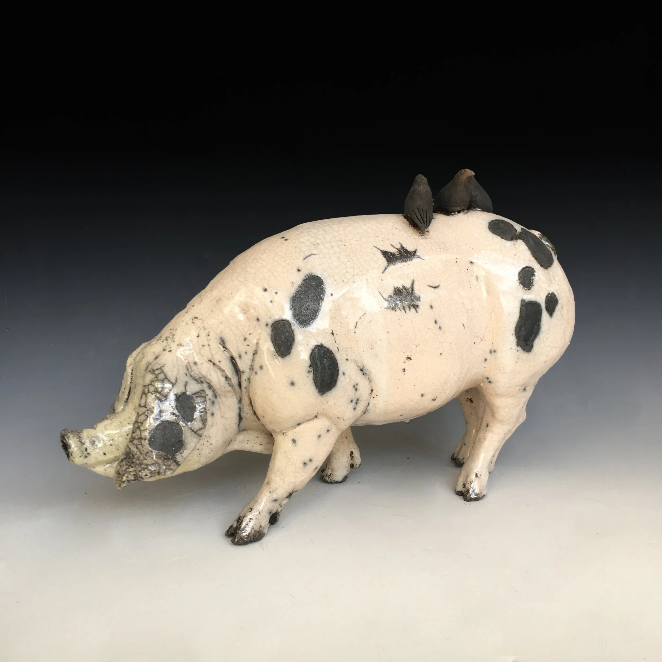 PIG1.jpg