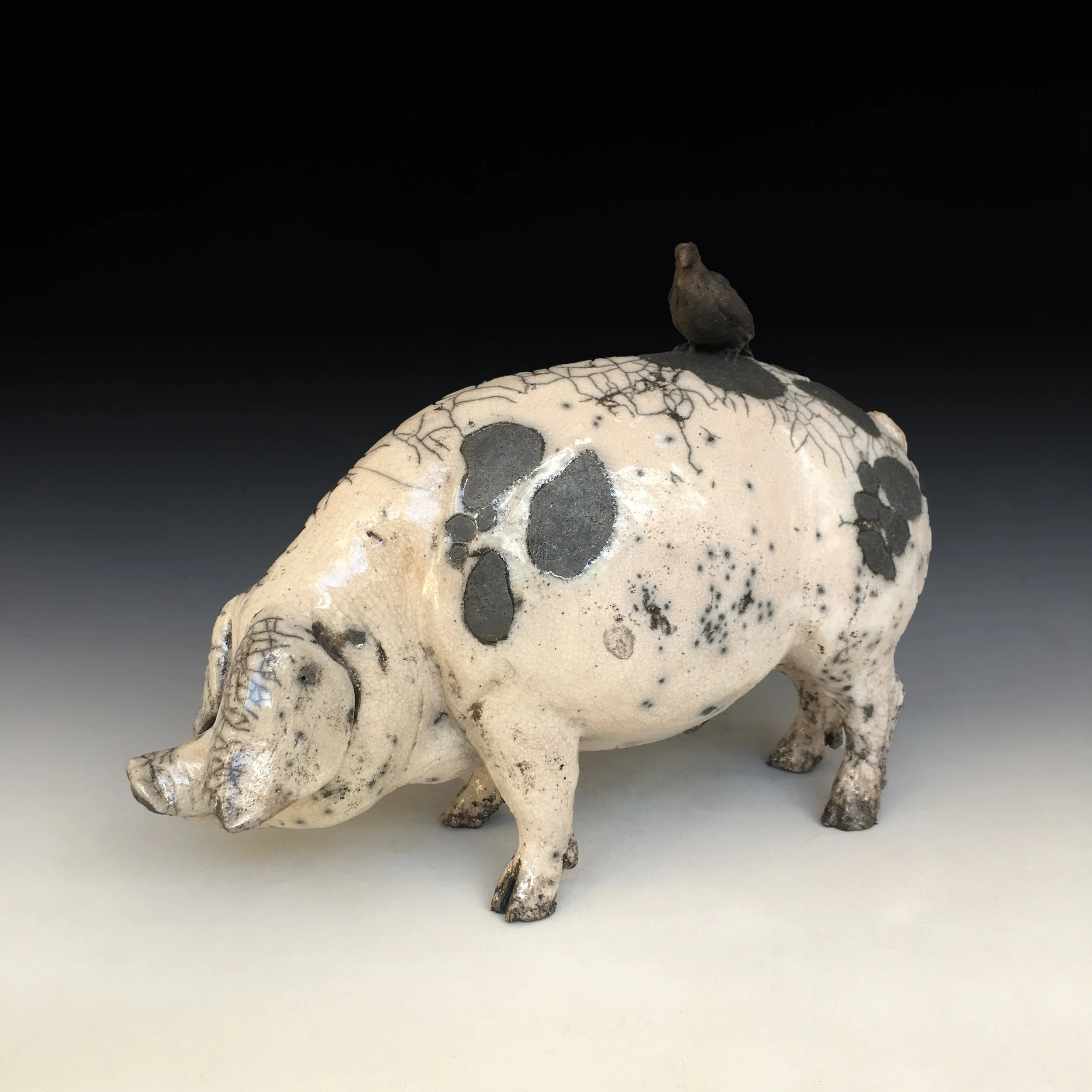 pig5.jpg