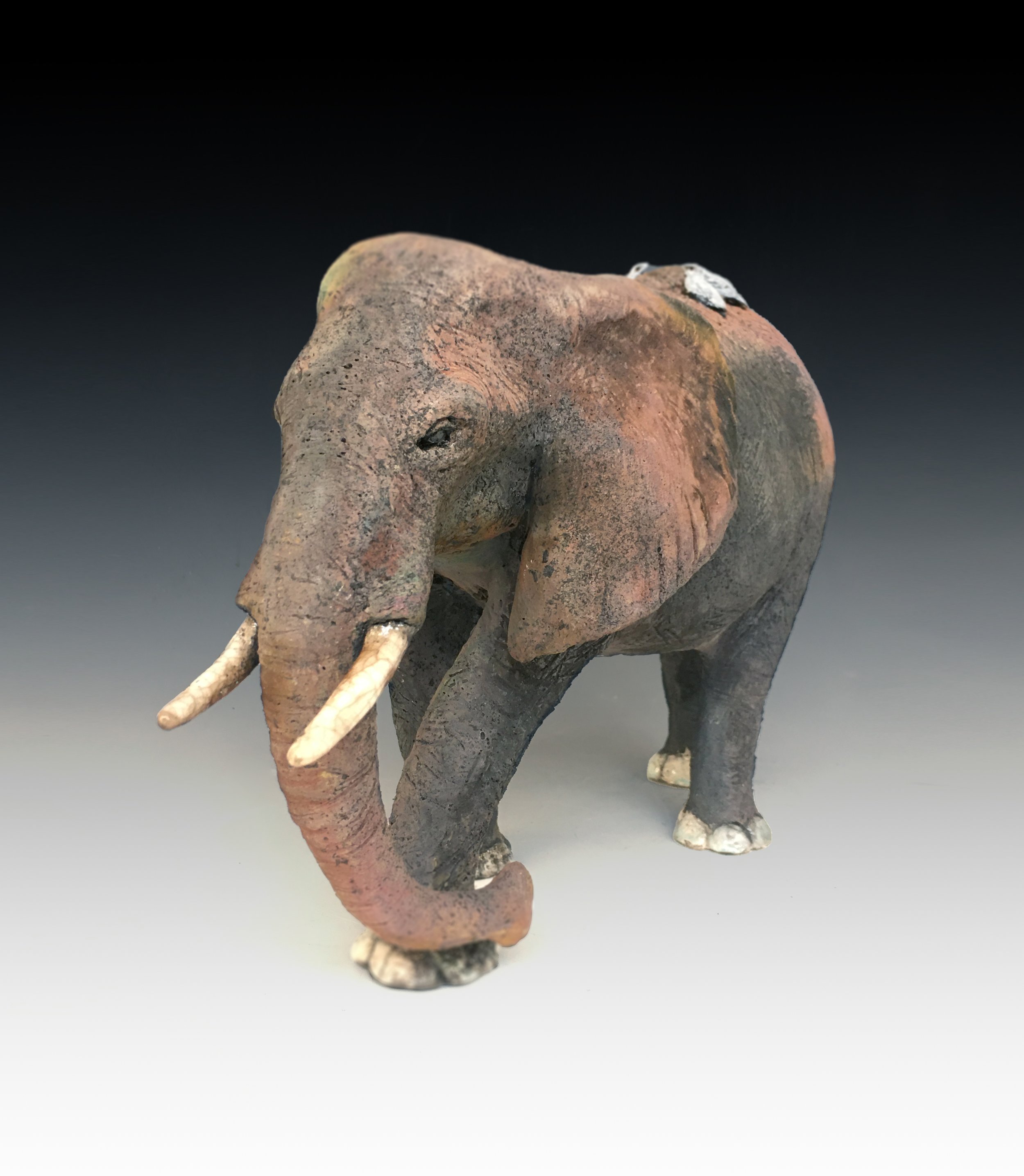 ELEPHANT.jpg