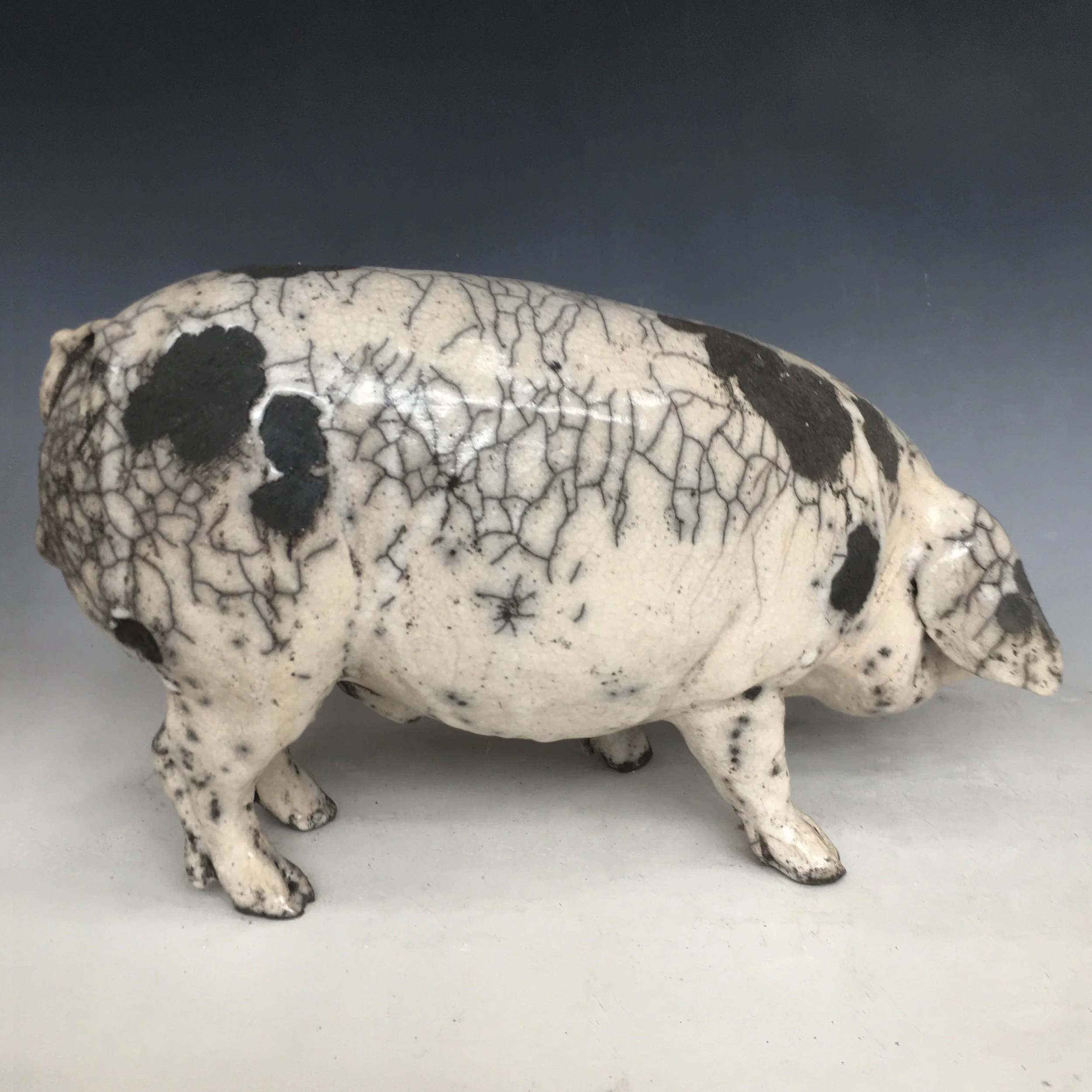 PIG1.jpg