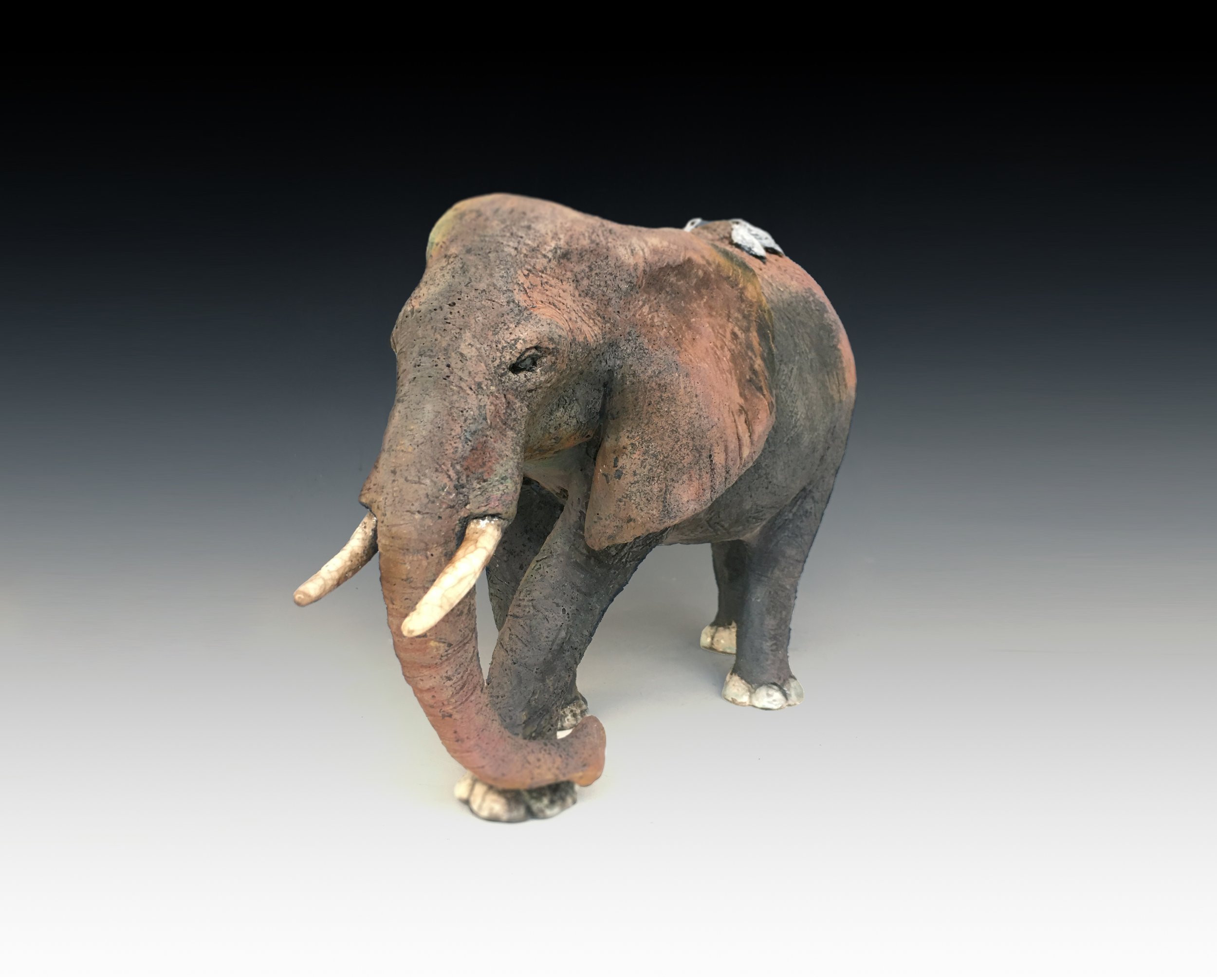 ELEPHANT HERO WIDE.jpg
