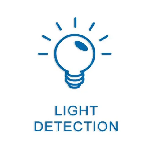 Light.jpg