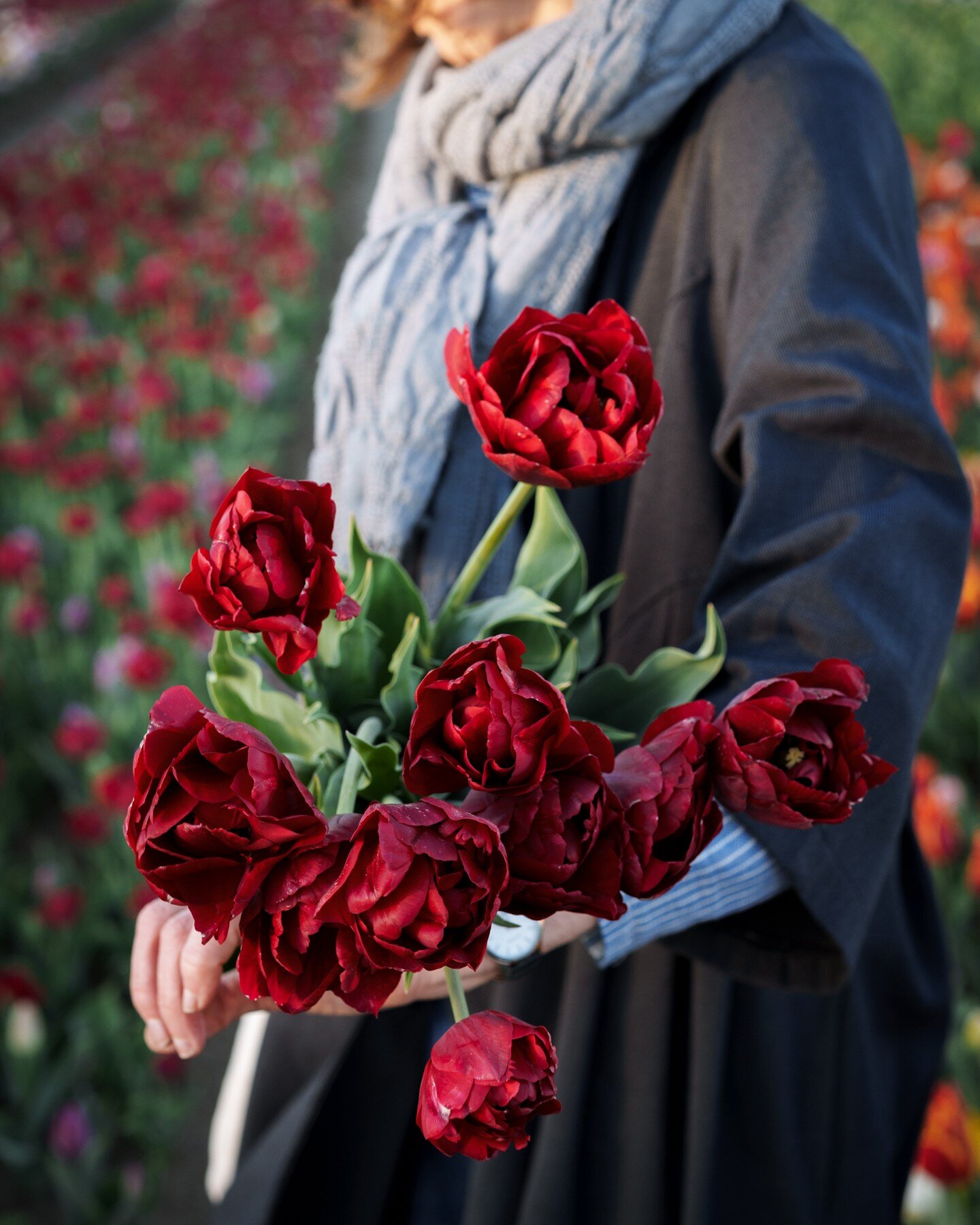 Is it really the first of April already? After a very wet weekend in Provence, it was a glorious sunny day here. There was the 'floralis' flower/plant market in Eygali&egrave;res which for me is always an exciting time of year as it really feels like