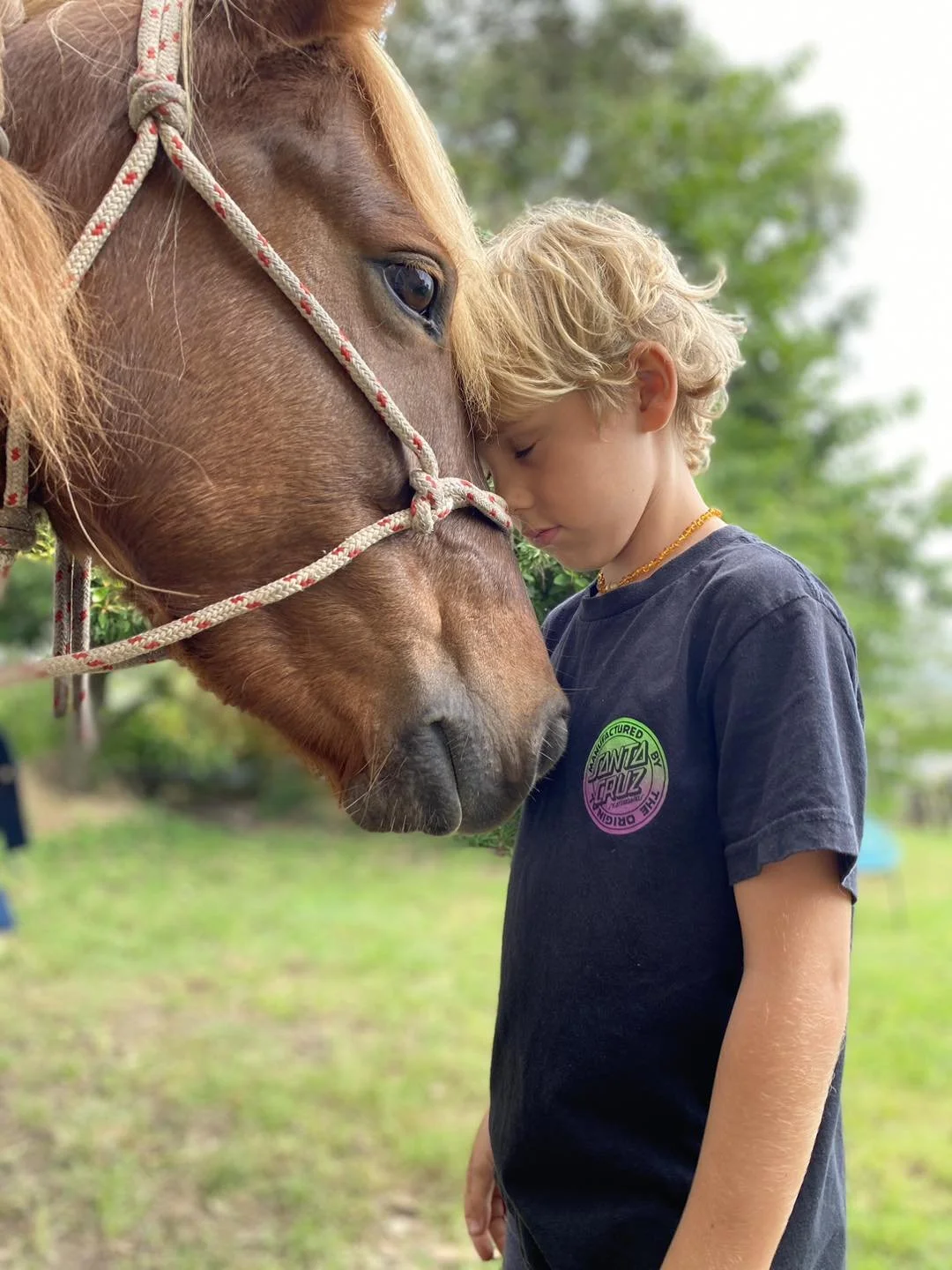 Breathwork: The First Cue in Horsemanship