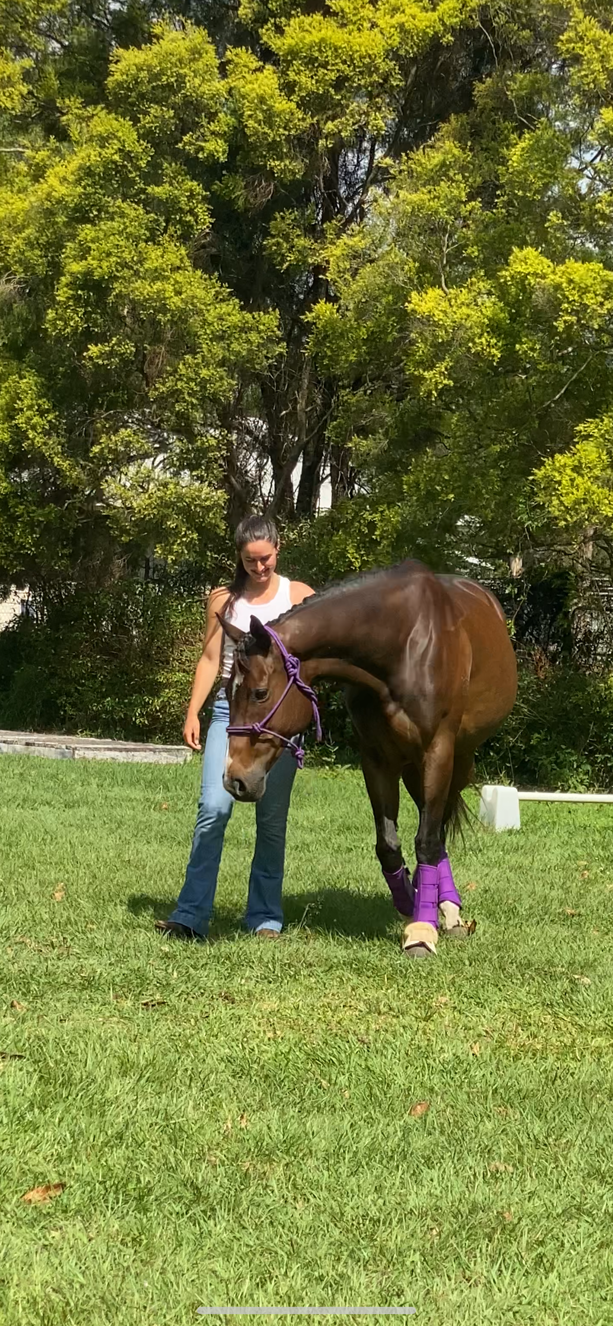 wellness through horsemanship Patchs Beach NSW
