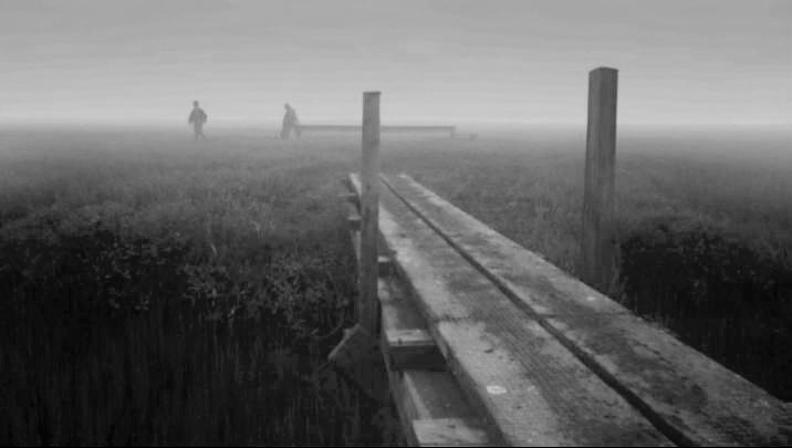 marshland_2_BW.jpg