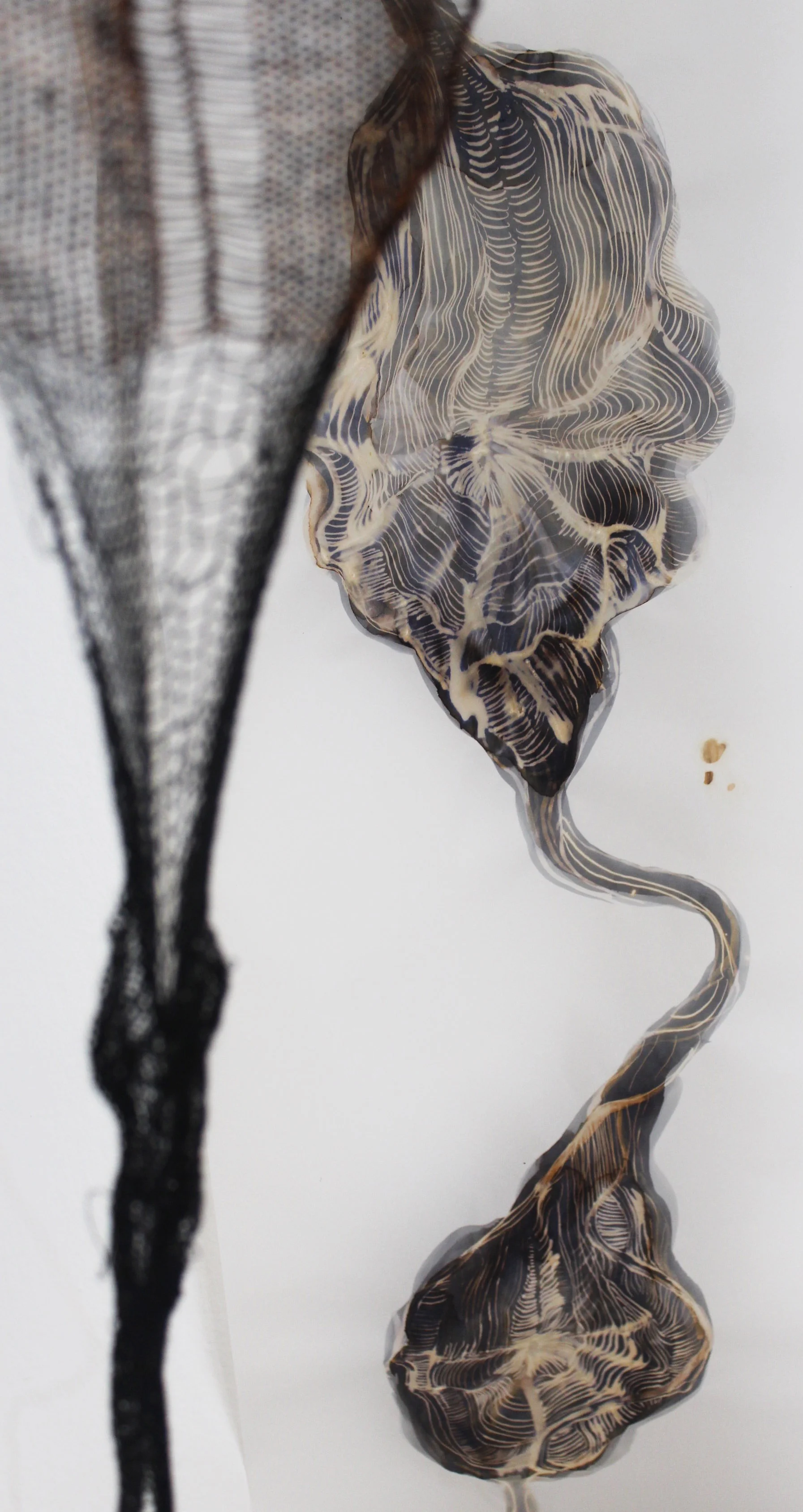 kathknit1 (1).jpg