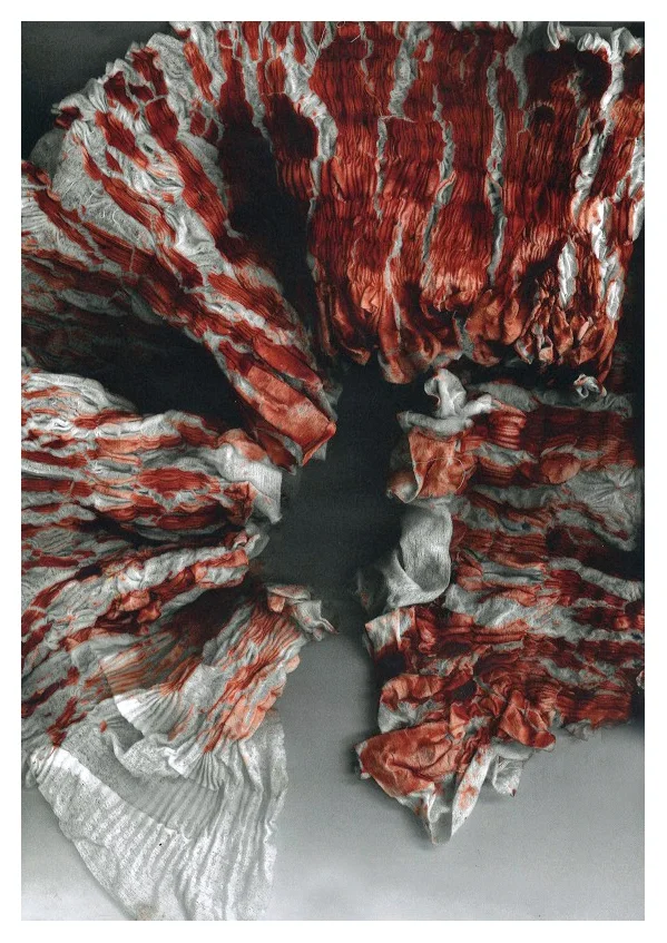 Scan 3.jpg
