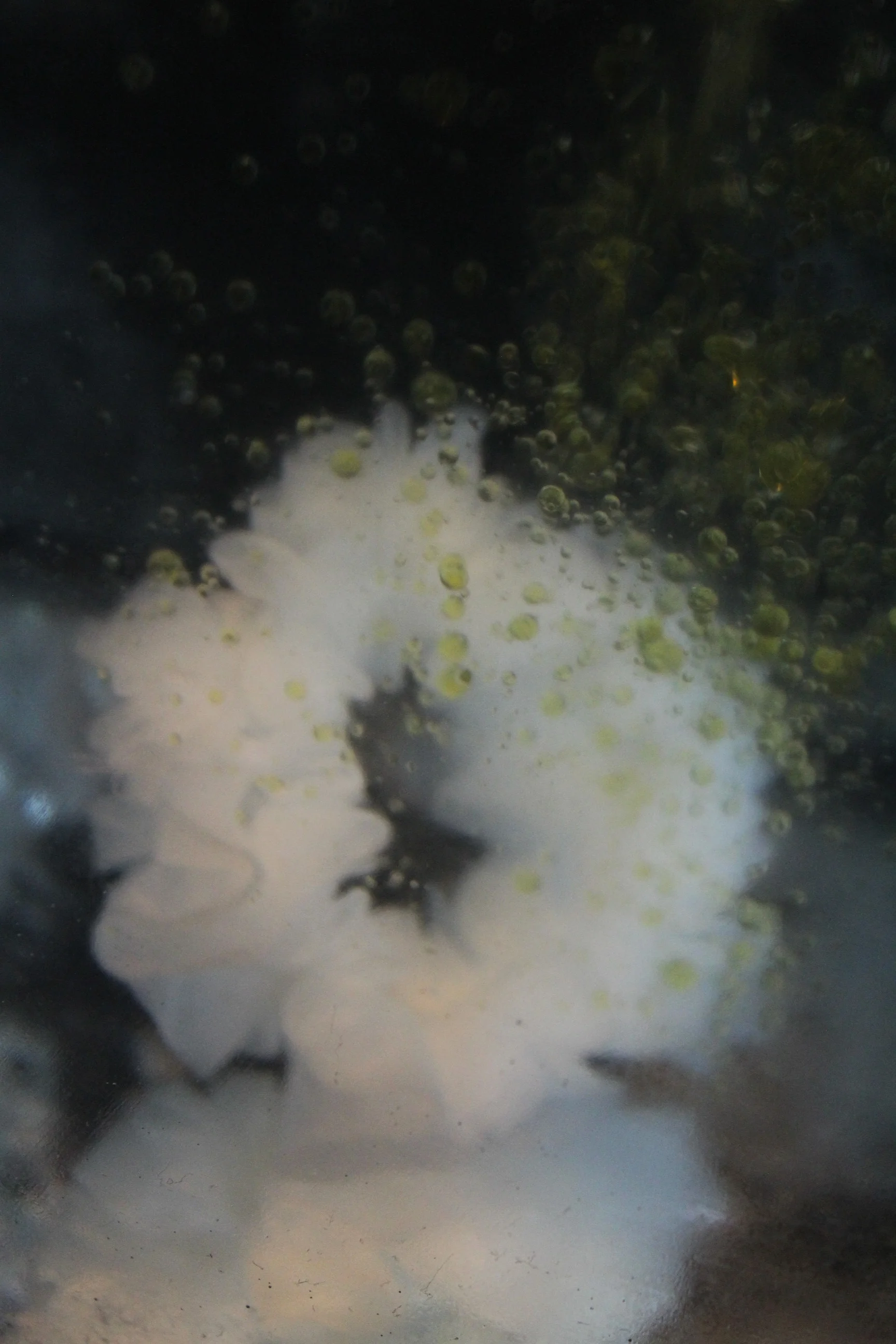 Pleated babywipes suspended in water and fat