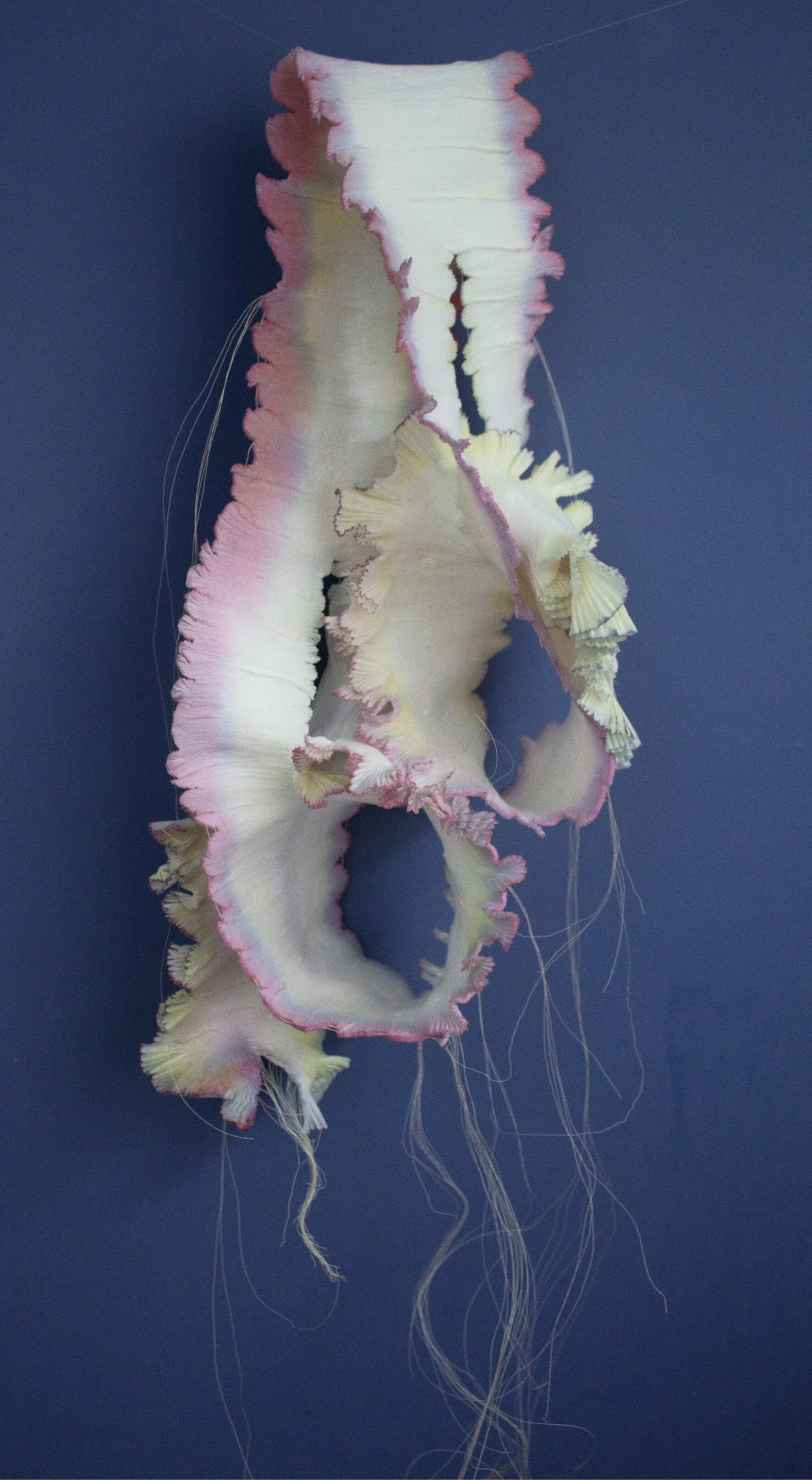 beetrootdoublefrills_2020_wipeswiredye_75x25cm_£300_kathlovett_edited-1.jpg