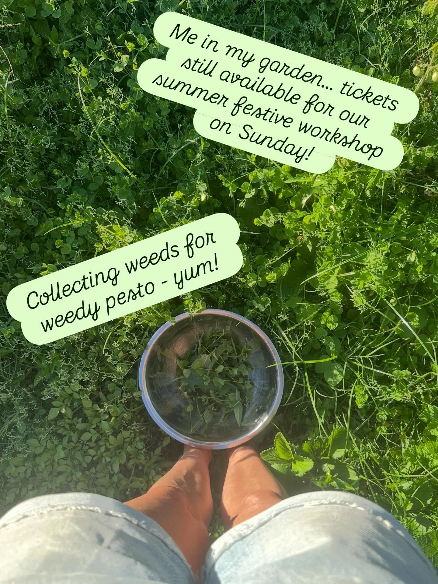 Come join us for herbal medicine and gift making with herbs this coming Sunday. Link in bio.