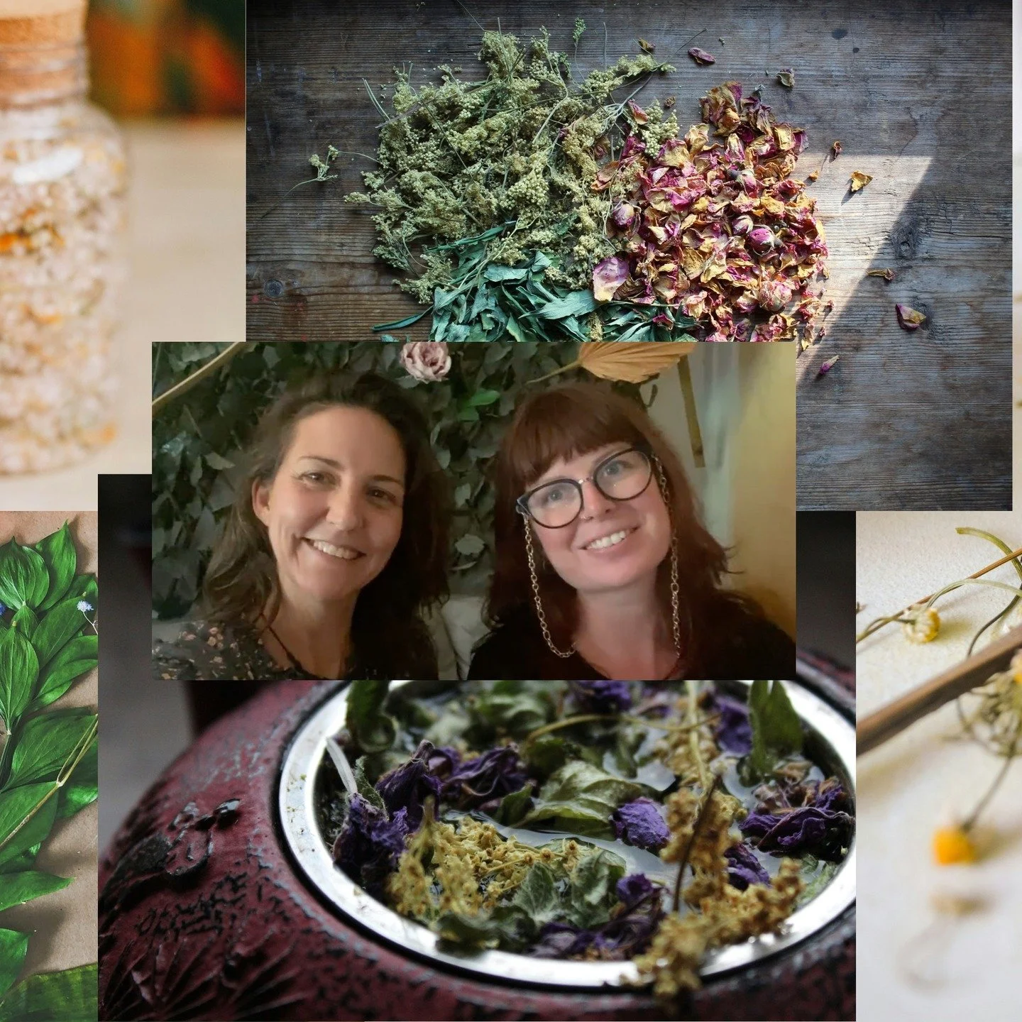 Come and join @ignaria_wellness (Holly) and myself (Cassie) Sunday 30 November in Wights Mountain for our Summer Seasonal Herbal Medicine Making Session. Where we will be making seasonal herbal and handmade gifts that you can keep or share with loved