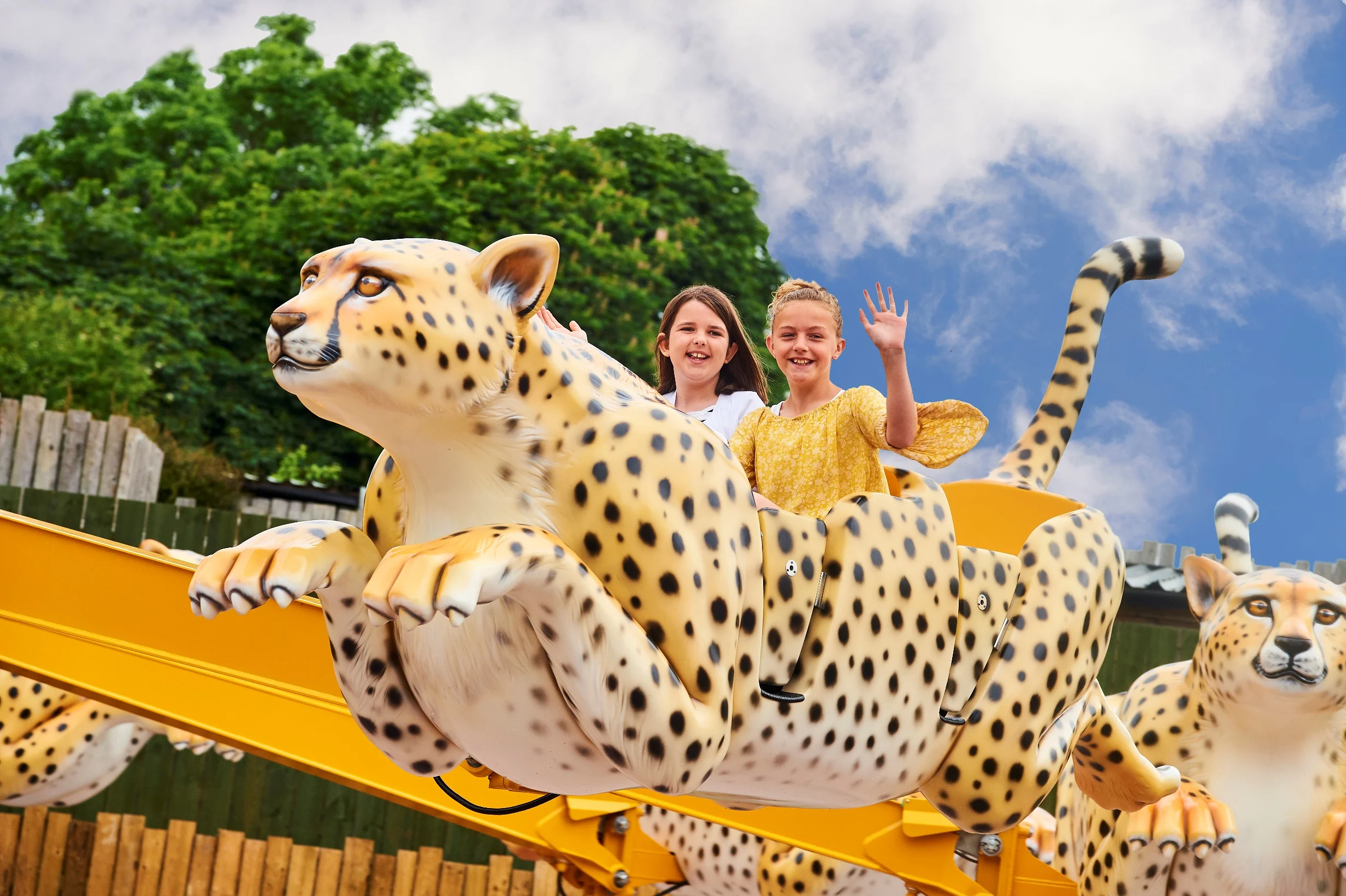 Go Safari! Flying Cheetah Ride.jpg