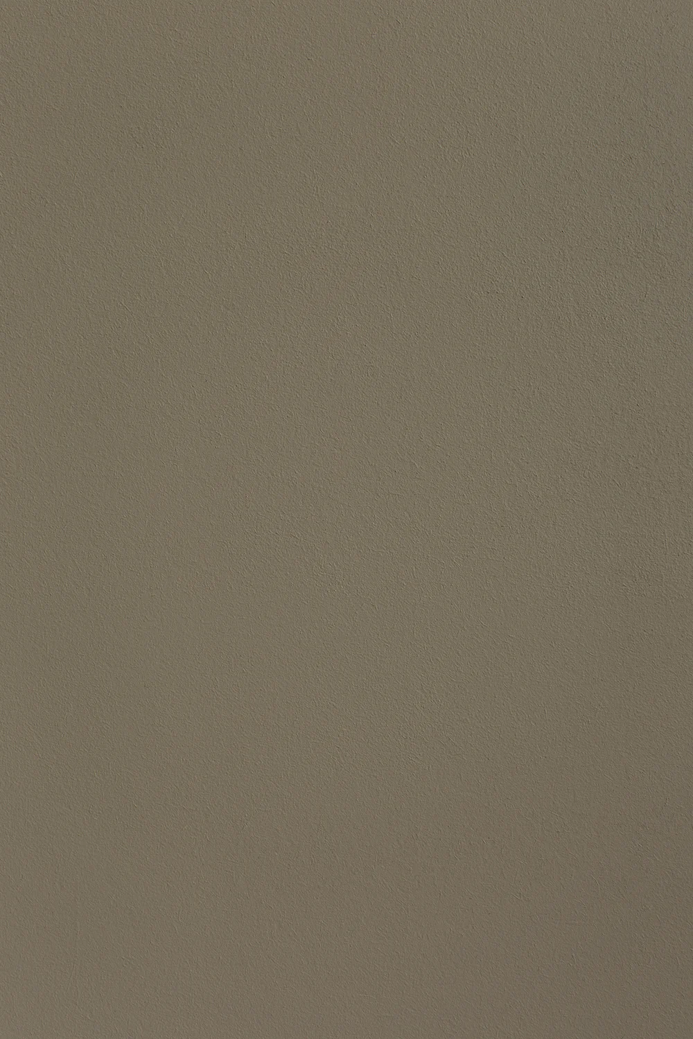 Ellis Paint - Sabi Grey