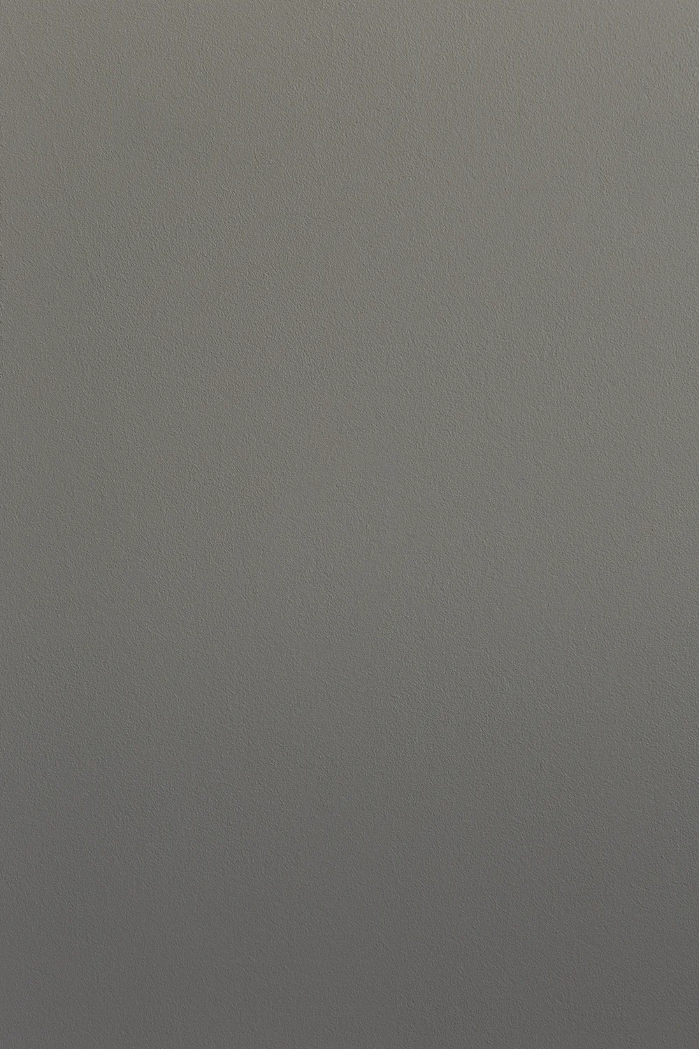 Ellis Paint - Clay Slip