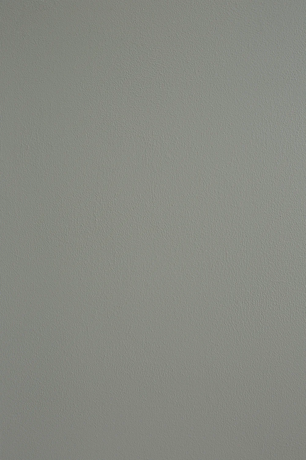 Ellis Paint - Canopy