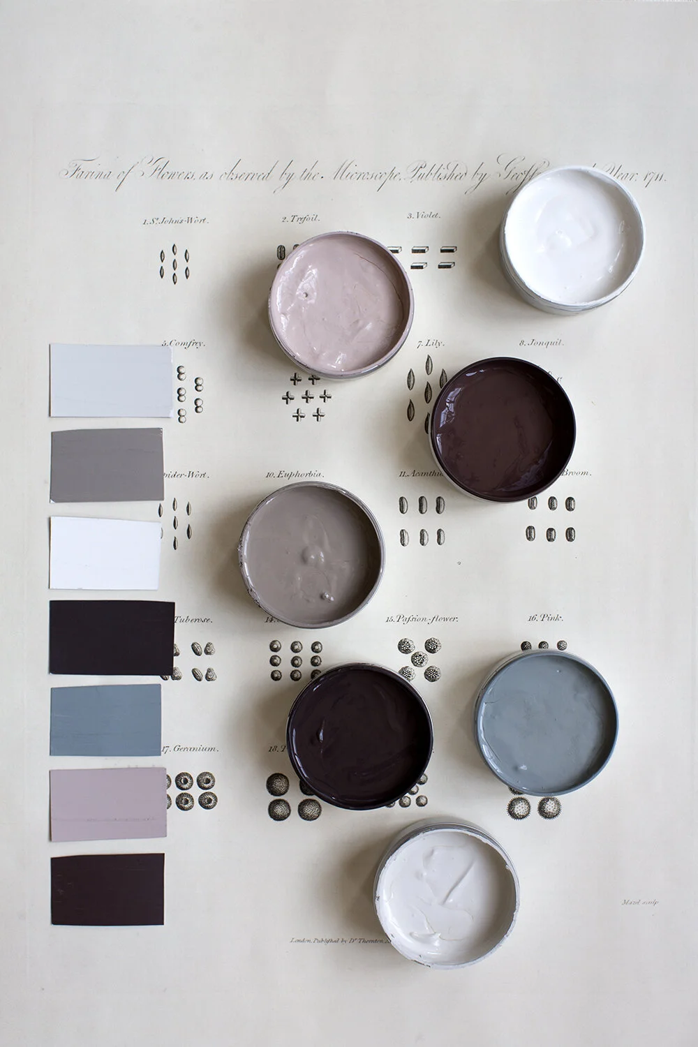 Ellis Paint Atelier Ellis