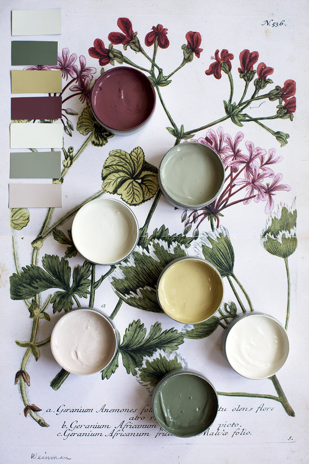 Ellis Paint Atelier Ellis Ellis Paint Atelier Ellis