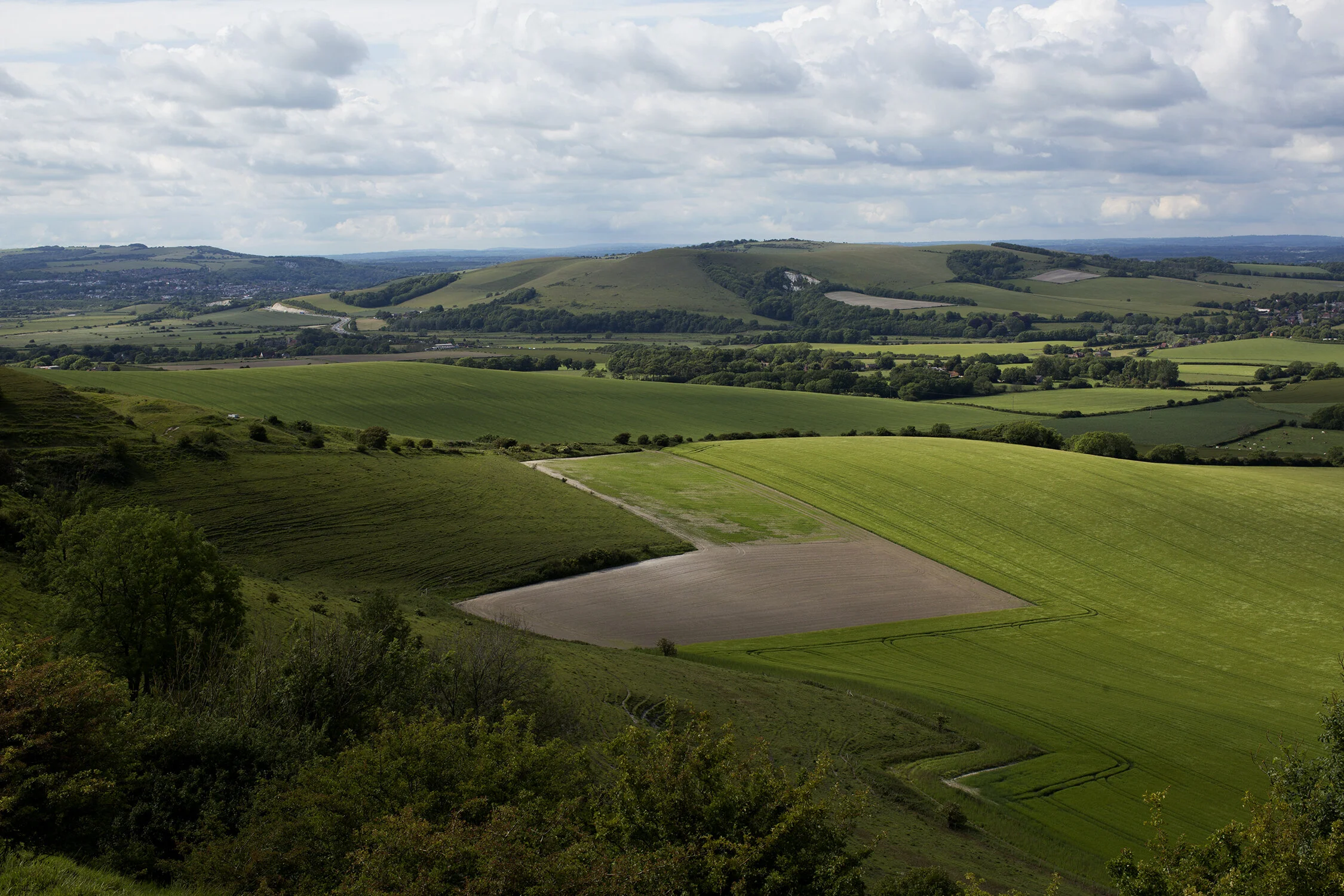 This Is The Path To Firle Atelier Ellis