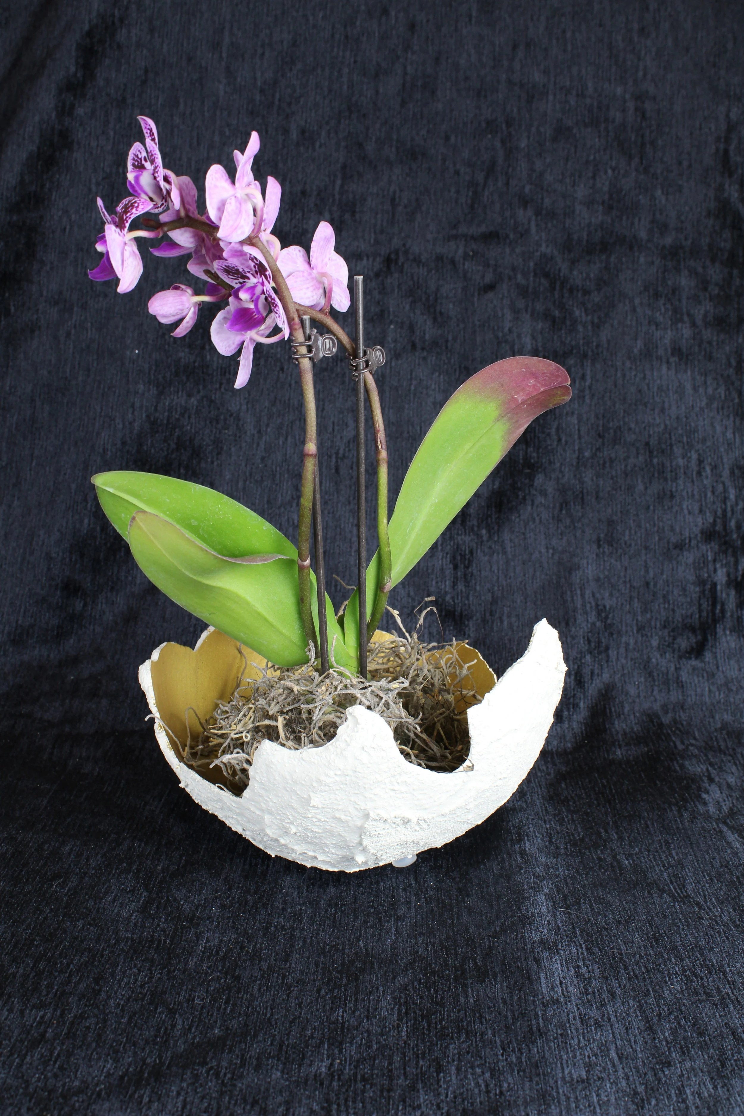 Earths Elements Home Decor Flower Bowls Earths Elements Home Decor