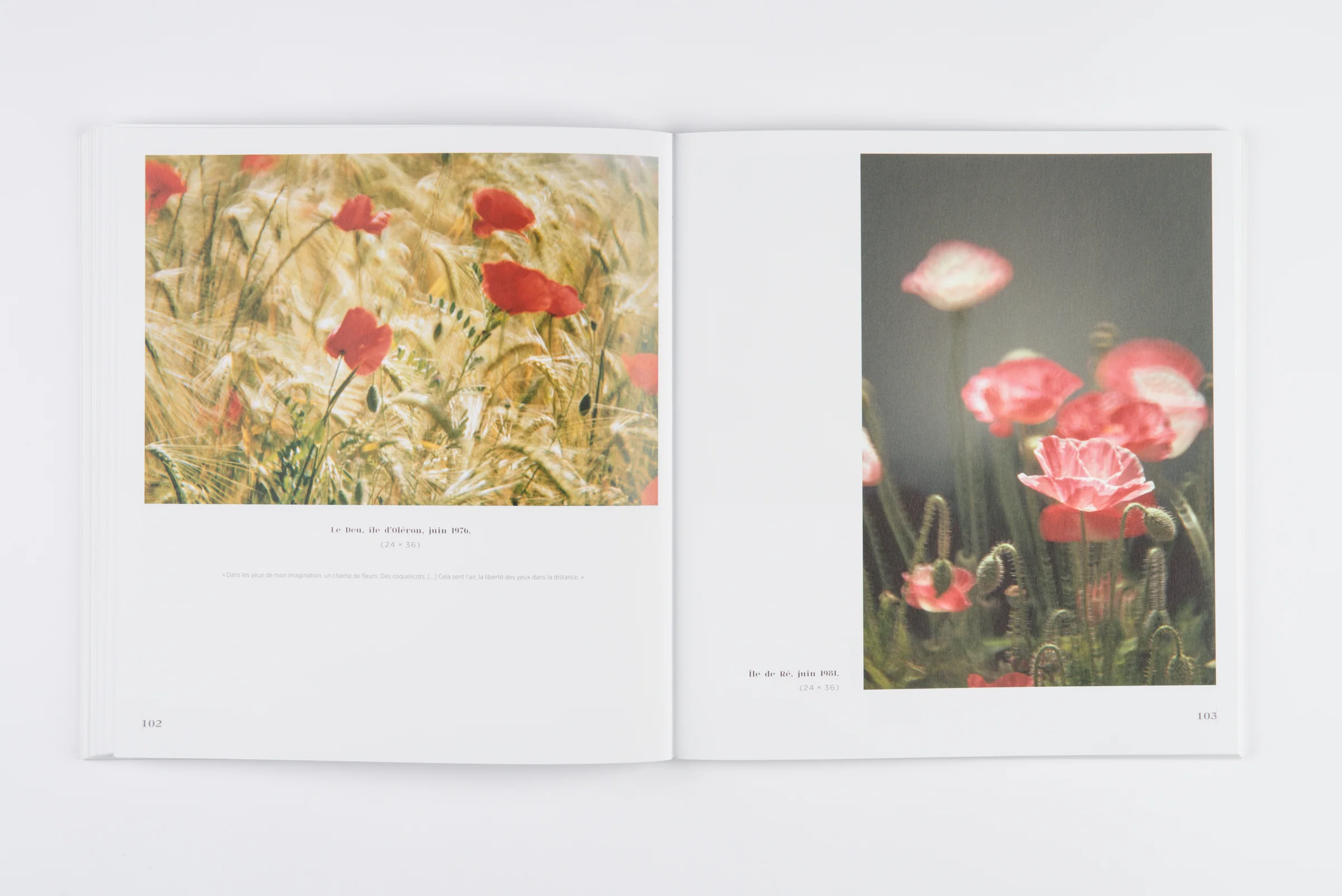 Lartigue_04.jpg