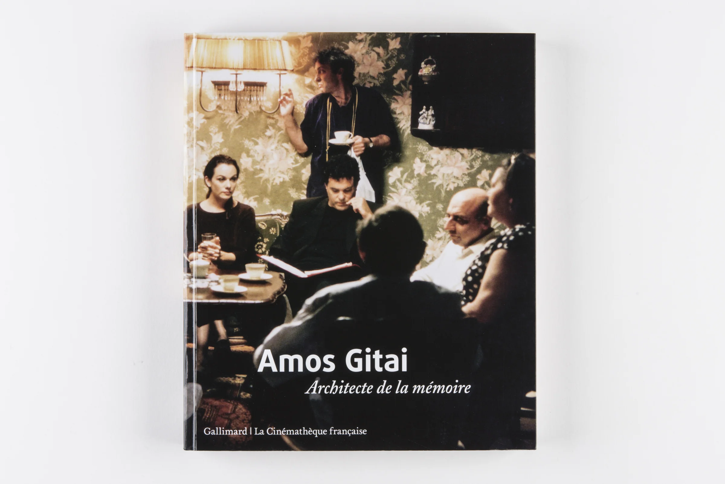 Amos_Gitai_01.jpg