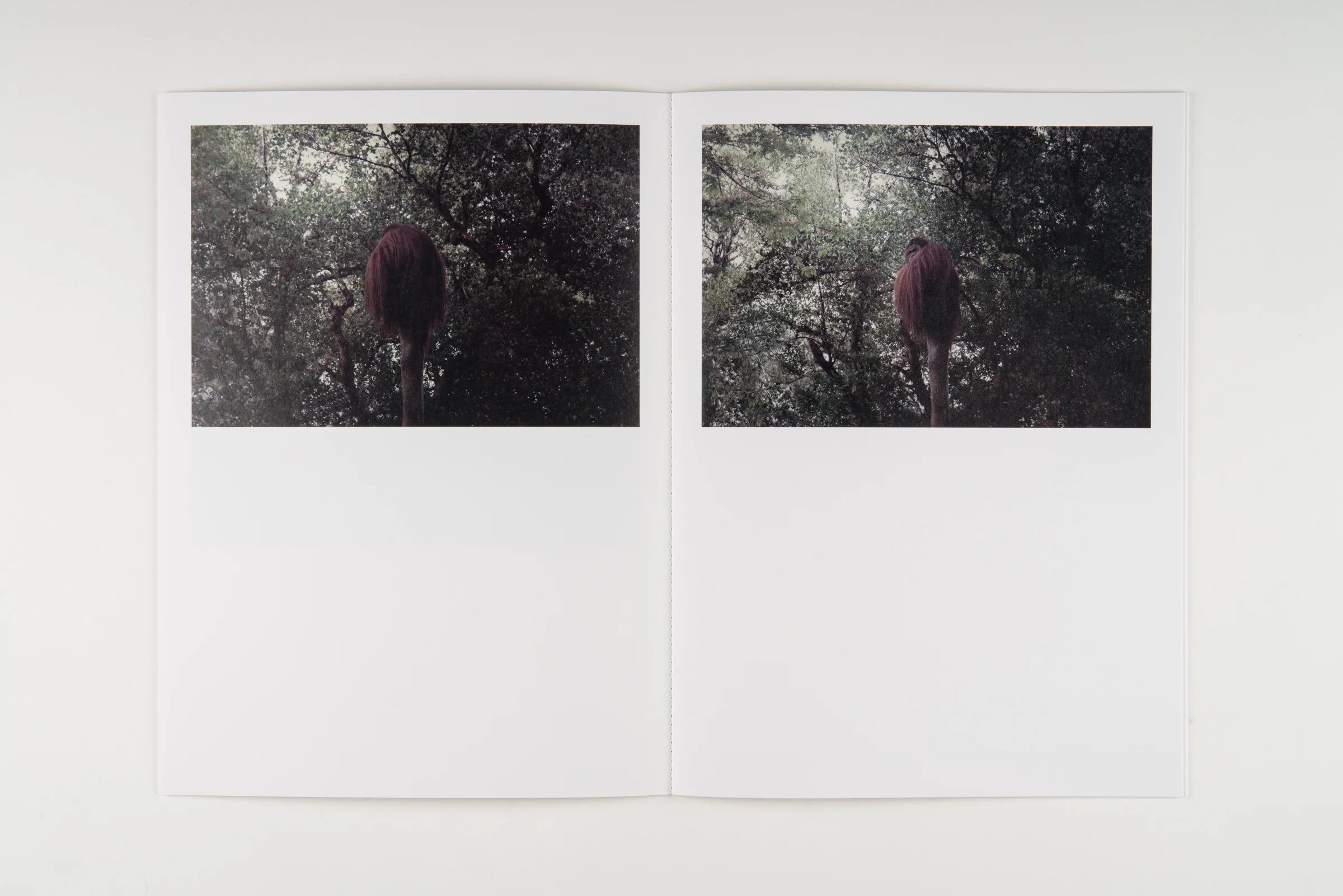 Robert_Zhao_Renhui_planche_01.jpg