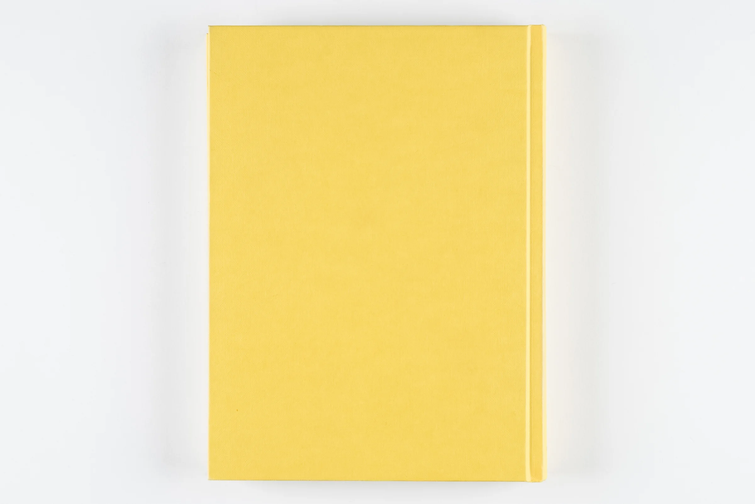 Eggleston_FR_cover_back.jpg