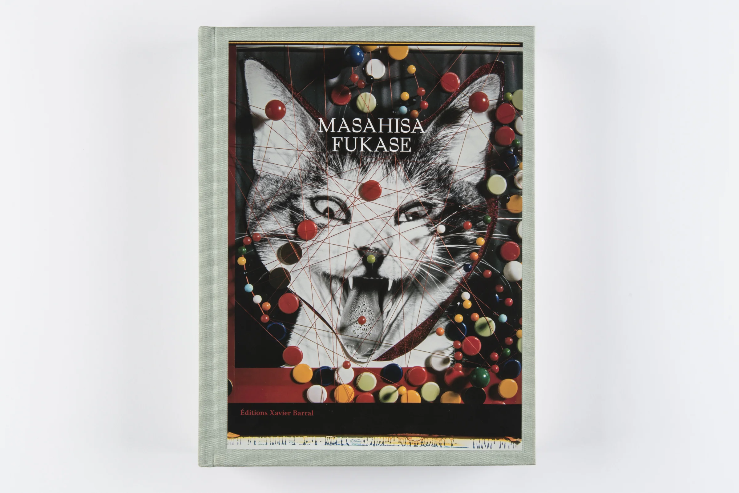Masahisa_Fukase_01.jpg