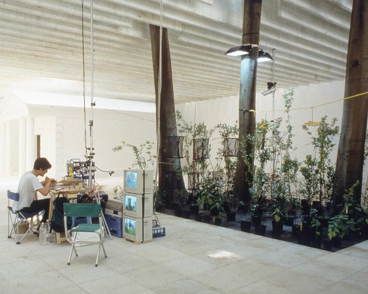 @hawksson 
Out of the black into the blue
Nordic Pavilion, Venice 1997
A breeding ground for local butterflies and moths free to move in and out of inner space
#art #artist #venicebiennale #rural #radicalruralism #hawksson #butterfly #moth