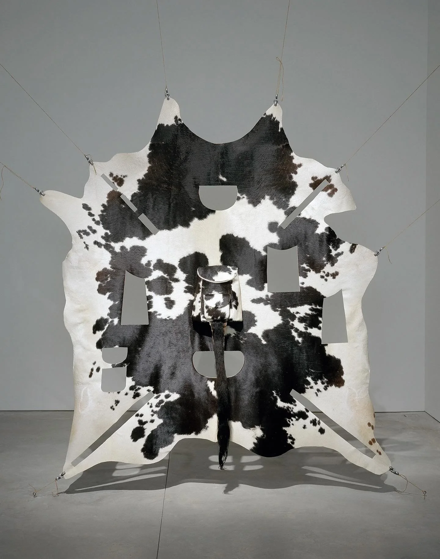 @janine_antoni 
Bridle, 2000
Full Holstein hide, hardware, rope
117 x 97 x 14 inches (297x 246x 35cm)
In Bridle, Antoni made a replica of the backpack she used everyday. To render the backpack while maintaining its attachment to the hide was a way fo
