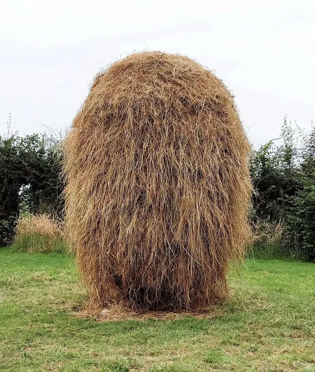 @tinusvermeersch 
Haystacks
#tinusvermeersch #haystacks #radicalruralism