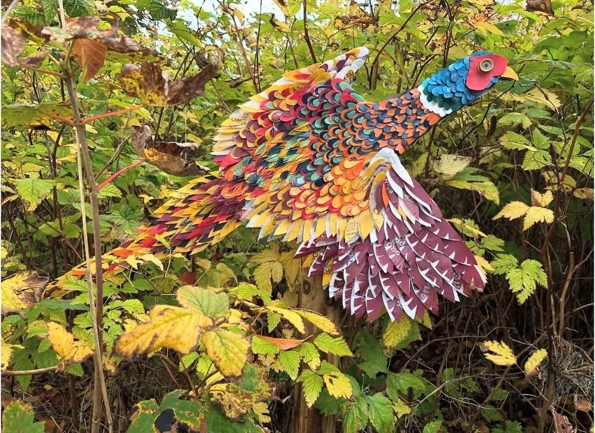 @mckinney417 Maria McKinney
Installed @brownmountaindiamond 
Untitled (wood pigeon, pheasant, mallard)
Shotgun shells on plywood